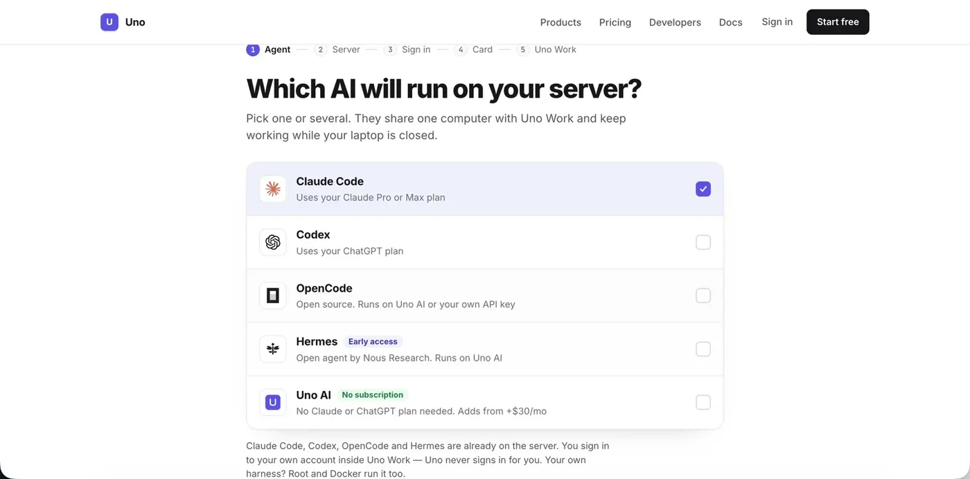 Which AI will run on your server